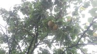 20170828_100112.jpg