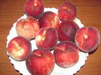 IMG_0044.JPG