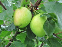 IMG_5755.JPG