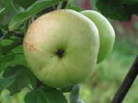 IMG_5742.JPG