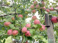 P70829-100145.jpg
