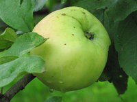 IMG_5715.JPG