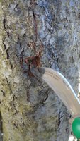 DSC04803 - копия1.jpg
