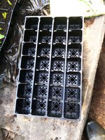 IMG_20170831_090743.jpg