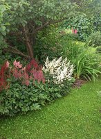 IMG_20130702_162351.jpg