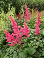 IMG_20130702_162502.jpg