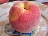 IMG_0006.JPG