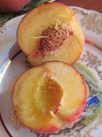 IMG_0008.JPG