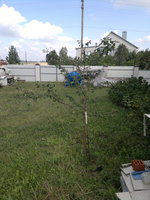 2017-09-03-1732.jpg