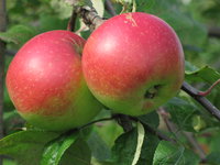 IMG_5897.JPG