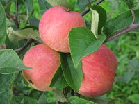 IMG_5904.JPG