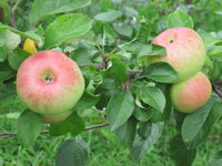 IMG_5814.JPG