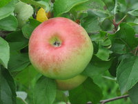 IMG_5815.JPG