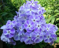 IMG_20130702_202120.jpg