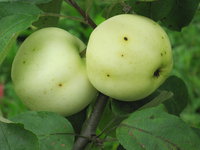 IMG_5797.JPG