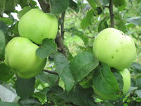 IMG_5846.JPG