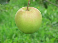 IMG_5856.JPG