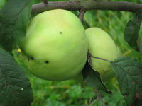 IMG_5860.JPG