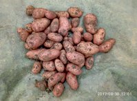 P70830-120127.jpg