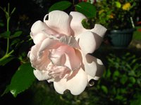 IMG_4255.JPG