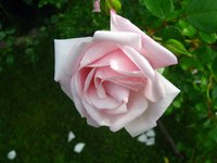 IMG_3708.JPG