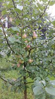 IMG_1074.JPG