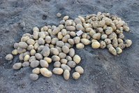 IMG_0057.jpg