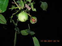 DSCN6183.JPG