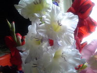 20170911_102522.jpg