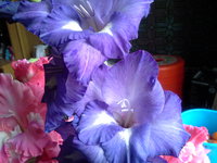 20170829_122838.jpg