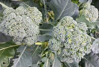 20170916_092330-1-1.jpg
