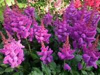 IMG_20130710_182443.jpg