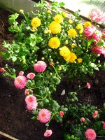 IMG_4829.JPG