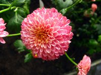 IMG_4830.JPG