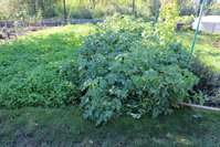 IMG_0076.jpg