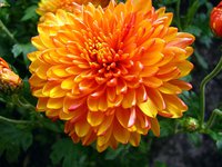 IMG_4833.JPG