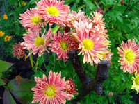 IMG_4848.JPG
