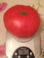 Мехико