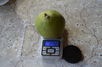 _DSC0001.JPG