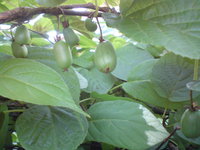 DSC05611.JPG