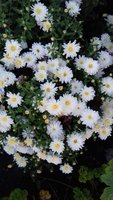 20170919_180039.jpg