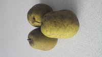 IMG_20170926_131106_099.jpg