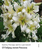IMG_20170926_213239_323.jpg