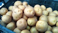 IMG_20170926_175514.jpg