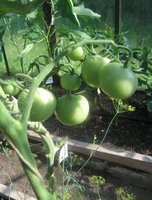 Лето 2012 380.jpg