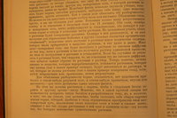 P1330916.JPG