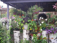 DSCN4253.JPG