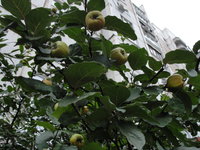 DSC05274.JPG