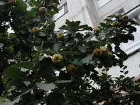 DSC05275.JPG