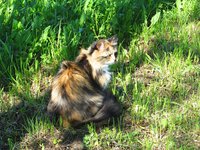 IMG_9561.jpg
